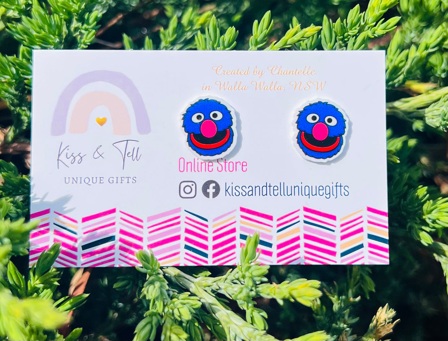 Sesame St Character Faces Stud Earrings
