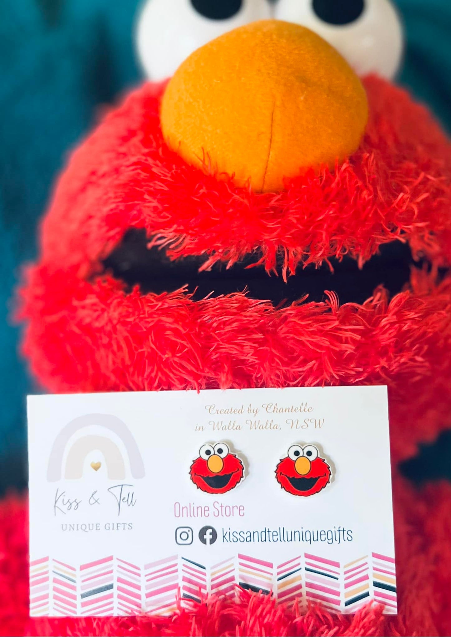 Sesame St Character Stud Earrings