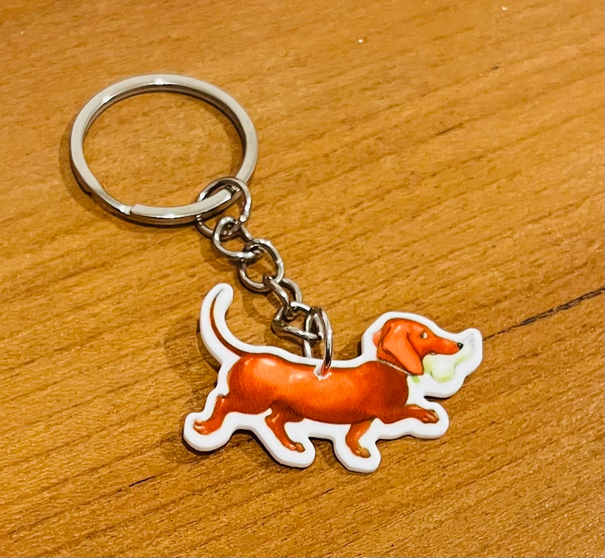 Hairy Maclary Book Dog Keyrings