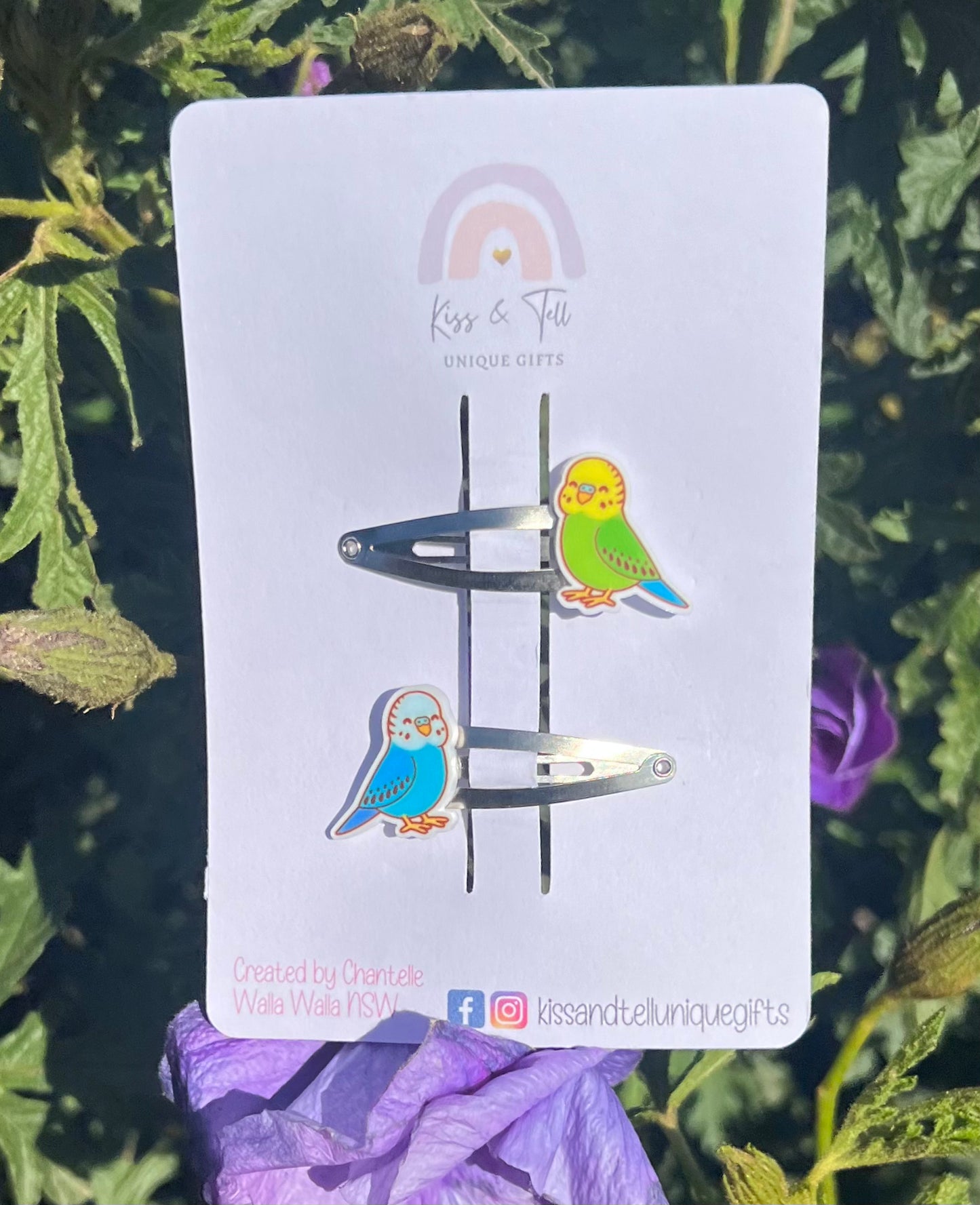 Budgie Bird Hair Clip Set