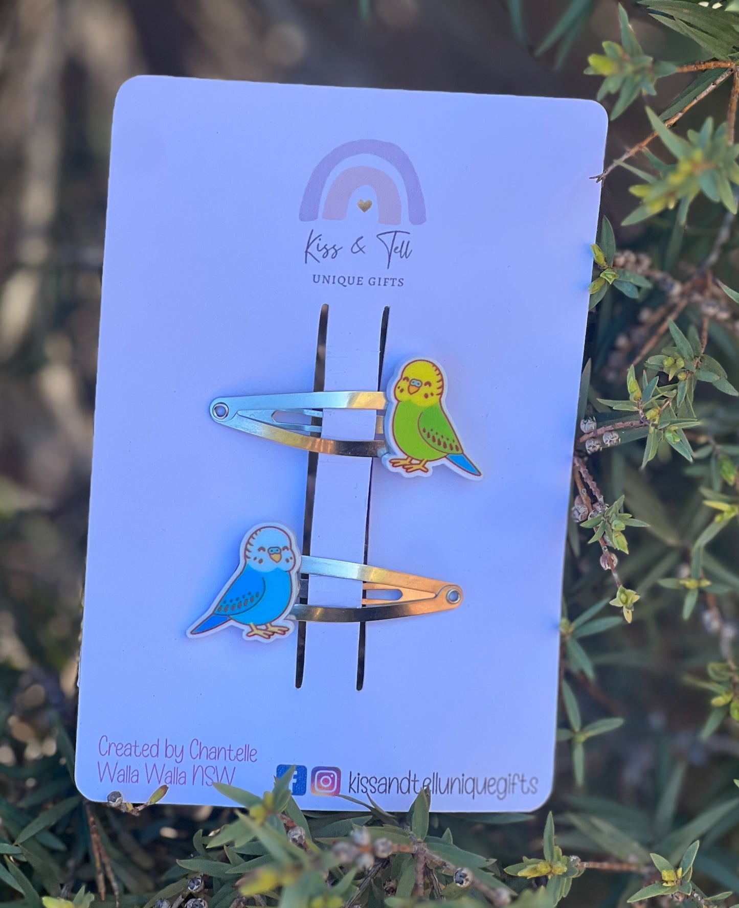 Budgie Bird Hair Clip Set