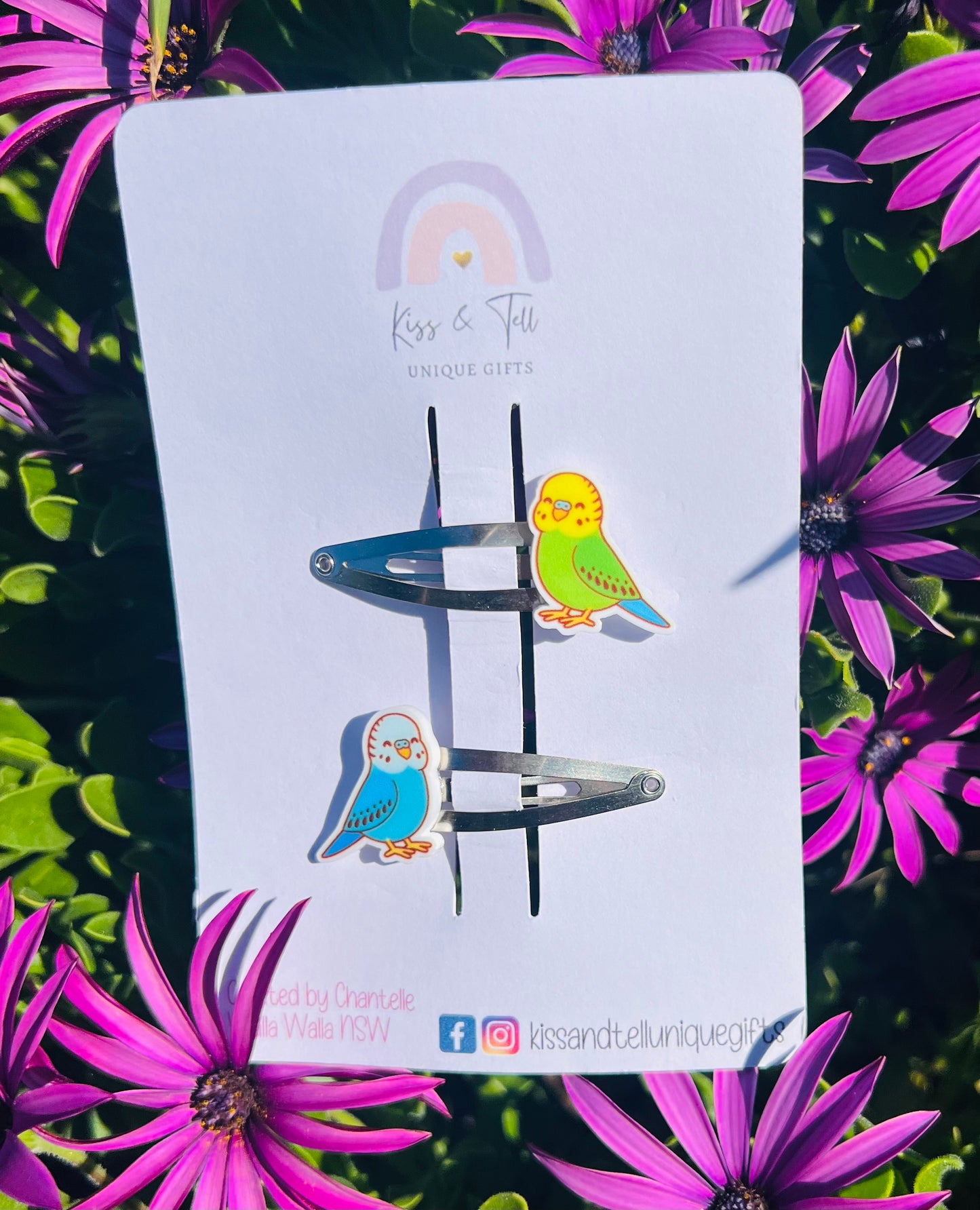 Budgie Bird Hair Clip Set